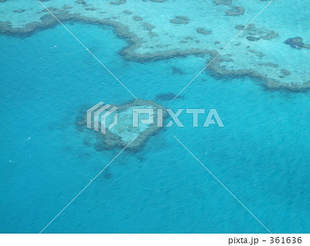 ハートリーフ ハミルトン島 珊瑚 オーストラリアの写真素材 ハートリーフ ハミルトン島 珊瑚 オーストラリアの写真素材