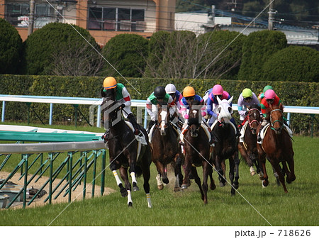 レース 馬 競馬 馬群の写真素材