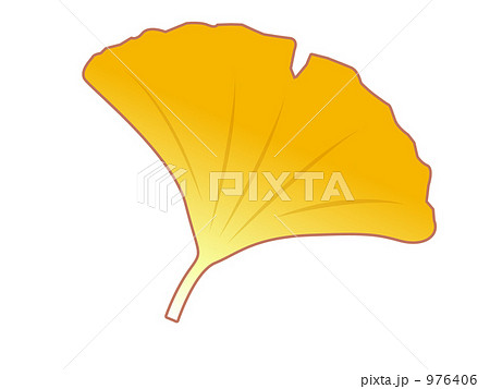 イチョウの葉のイラスト素材