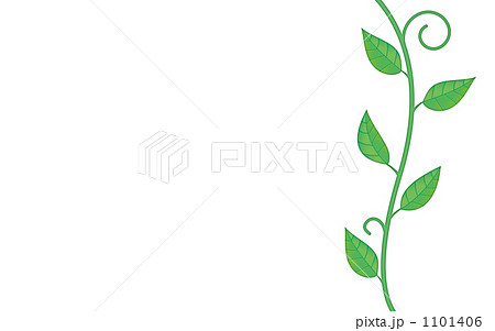 植物 草 蔓草 茎のイラスト素材