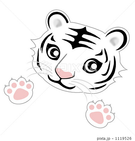 無料でダウンロード ライオン 可愛い ホワイト タイガー イラスト かわいい