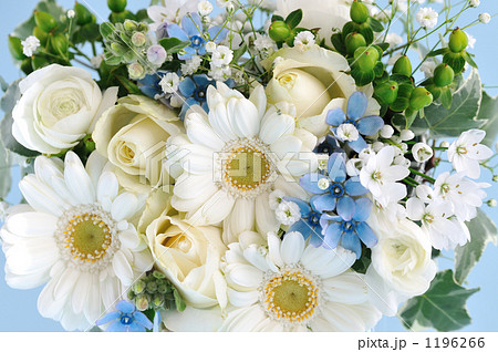 ブルースター 花束の写真素材