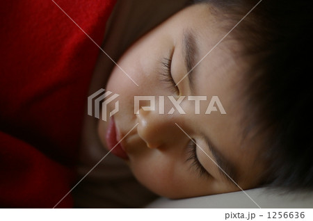 寝顔 まつげ 子供 赤ちゃんの写真素材