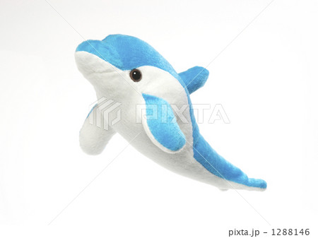 イルカのぬいぐるみの写真素材 - PIXTA