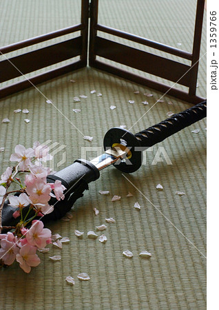 日本刀 和室 刃 桜花の写真素材