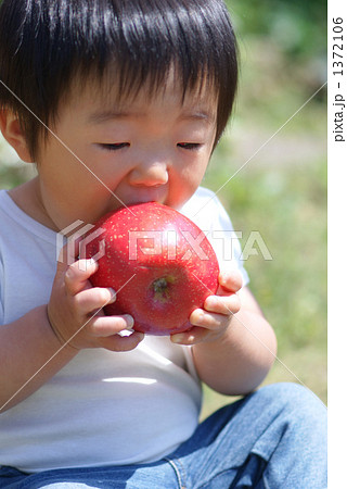 子供 リンゴ 丸かじり 手 乳幼児 かじるの写真素材