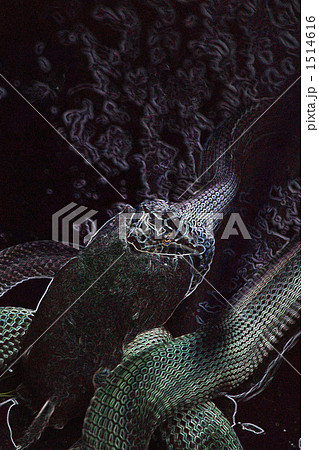 ヘビ モグラ 自然 食べ物の写真素材