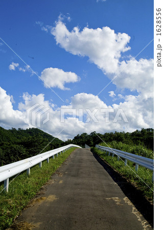 道路 道 入道雲 田舎道の写真素材