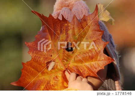人物 葉っぱのお面 紅葉 落ち葉の写真素材