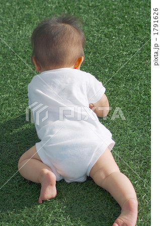 後姿 這う 赤ちゃん 子供の写真素材