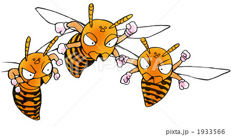 胡蜂 雀蜂 すずめばち スズメバチのイラスト素材