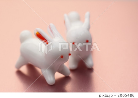 うさぎ 白色 赤目の写真素材 - PIXTA