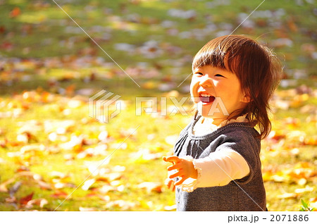 女の子 陽射し 見上げる 木漏れ日の写真素材