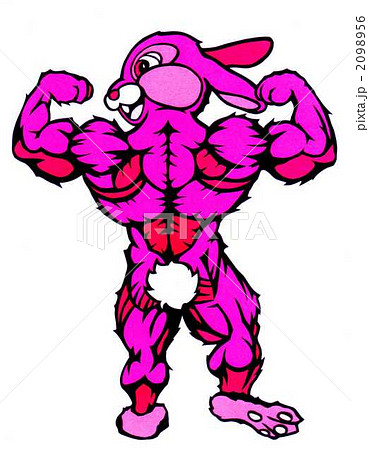 筋肉ウサギの写真素材