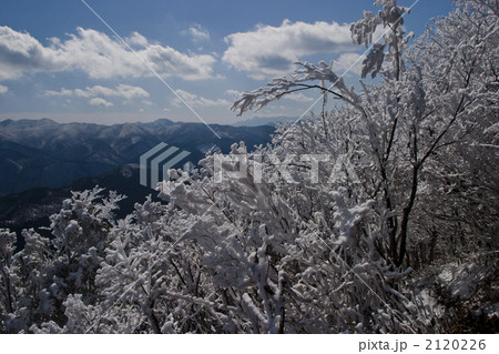 奈良高見山樹氷の写真素材