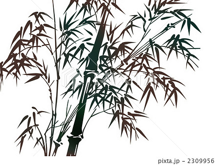 和柄 竹 イラスト 竹林 和 葉 背景 Cg 模様 植物 ささの写真素材