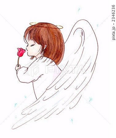 花 赤ちゃん チューリップ 天使のイラスト素材