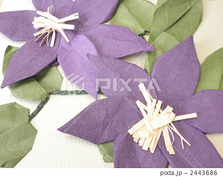 折り紙 花 クラフト キキョウの写真素材