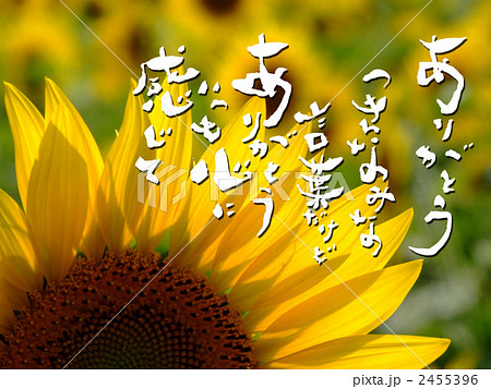 言葉 ありがとう 感謝 詩のイラスト素材