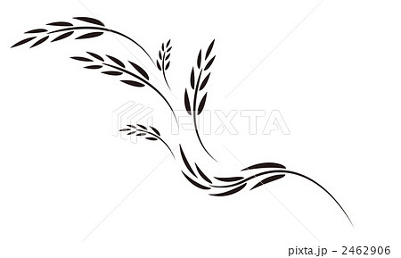 麦穂 麦 穂のイラスト素材