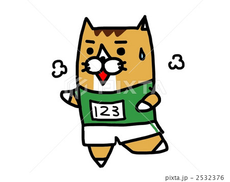 猫 マラソン スポーツ 動物の写真素材