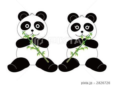 動物 カップル パンダ ジャイアントパンダのイラスト素材