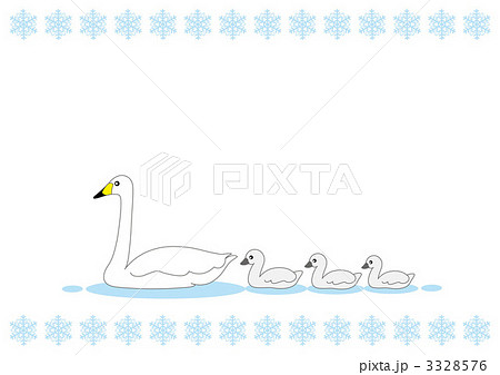 Swan Illustrations