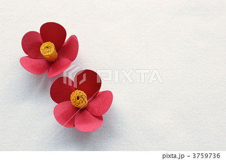 ペーパークラフト 花 椿 年賀状の写真素材 Pixta