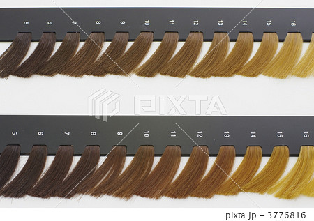カラーチャート 髪 毛束 色 色見本の写真素材 Pixta