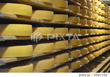 グリュイエールチーズの写真素材