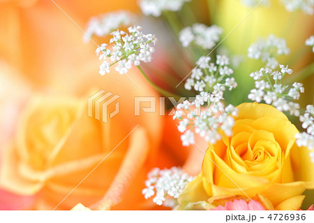 ☆小花たくさんの花かんむり♡黄色 白  オレンジ 産地直送 ガーベラ花束 イエローオレンジミックス ／千葉 金井