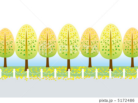 イチョウ並木 いちょう並木 並木道 イラストのイラスト素材