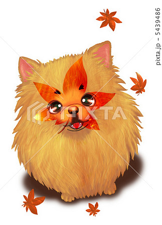 動物 犬 秋 紅葉のイラスト素材 - PIXTA