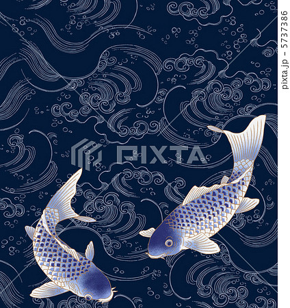 こい 鯉 コイ 魚のイラスト素材