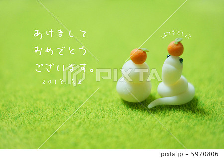 白ヘビの写真素材 - PIXTA