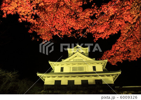 長浜城 ライトアップ 秋 紅葉の写真素材