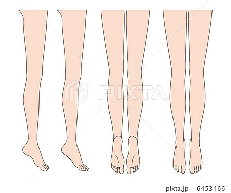 足 くるぶし 足の甲 足の指のイラスト素材