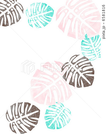 モンステラ 植物 観葉植物 ハワイ 南国 南の島 ハワイアン のイラスト素材