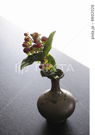 ヒペリカム 花器 フラワーアレンジメント 花瓶の写真素材