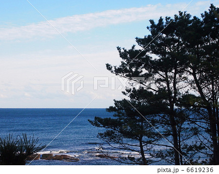 海 海岸 松 松の木 海沿いの写真素材 Pixta