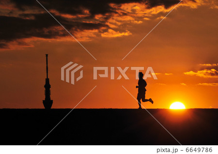 ランニング 夕焼け 土手 ランナーの写真素材