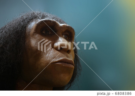 猿人の写真素材
