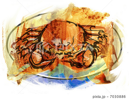上海蟹 蟹 線画の写真素材