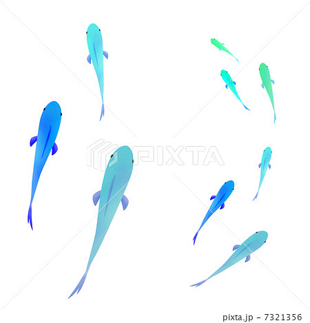 小魚群れ さかな 青色 魚のイラスト素材