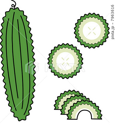 ゴーヤ 野菜 沖縄料理 手描きのイラスト素材