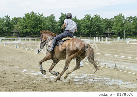走る馬の写真素材