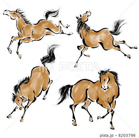 Equidae Equus Equidae Family Horse Zebra Mares Fowls Donkeys Pngs