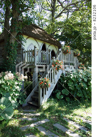 ツリーハウス 小さな家 小人の家 森の中の家の写真素材