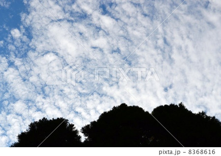 うろこ雲 地震雲 晴天 秋の空の写真素材