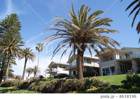 別荘 豪邸 海外 庭の写真素材
